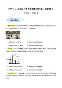 三年（2022-2024）中考物理真题分类汇编（全国通用）专题01 声现象（原卷版）