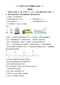 2024年黑龙江省大庆市中考一模物理试题（原卷版+解析版）
