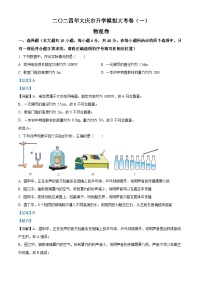 2024年黑龙江省大庆市中考一模物理试题（解析版）