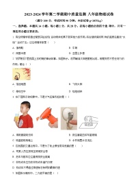 福建省龙岩市长汀县2023-2024学年八年级下学期4月期中物理试题（原卷版）