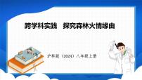 初中物理沪科版（2024）八年级全册（2024）第四章 神奇的透镜实践 探究森林火情缘由课文内容ppt课件