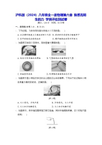 物理八年级全册（2024）第六章 熟悉而陌生的力综合训练题