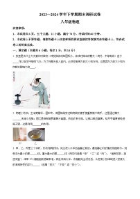 河南省舞钢市2023-2024学年八年级下学期期末调研物理试题（原卷版+解析版）