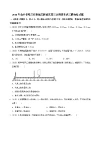 2024年山东省枣庄市薛城中考三模物理试题