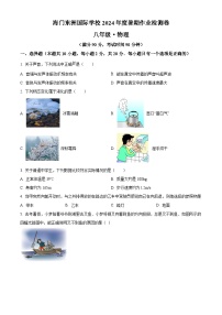 江苏省南通市海门区东洲国际学校2024-2025学年八年级上学期开学考试物理试题（原卷版+解析版）