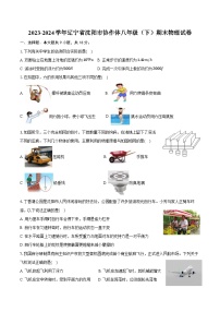 2023-2024学年辽宁省沈阳市协作体八年级（下）期末物理试卷（含答案）