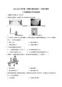 甘肃省武威市凉州区武威十一中联片教研2024-2025学年八年级上学期开学物理试题