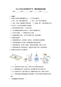 2024年河北省邯郸市中考一模理综物理试题（附答案解析）