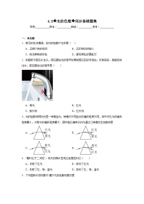 初中第5节 光的色散同步训练题