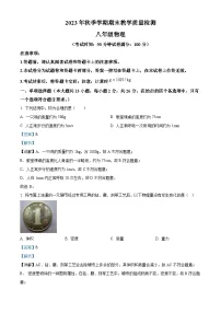 广西百色市县级市2023-2024学年八年级上学期期末检测物理试题（解析版）
