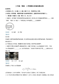 河南省巩义市2023-2024学年八年级上学期期末质量检测物理试题（解析版）