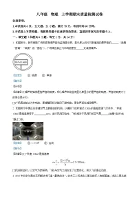 河南省巩义市2023-2024学年八年级上学期期末质量检测物理试题（解析版）