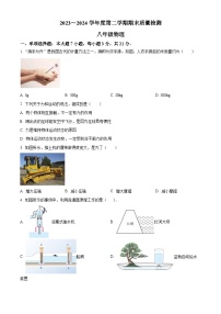 广东省汕头市潮阳区龙港初级中学2024-2025学年九年级上学期开学考试物理试题（原卷版）