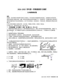 广东省深圳外国语学校2024-2025学年九年级上学期开学考试物理试卷