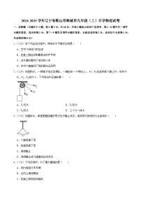 辽宁省鞍山市海城市2024-2025学年九年级上学期开学物理试题