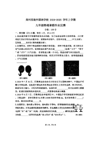 河南省郑州实验外国语学校2024–2025学年上学期九年级开学考试物理试卷