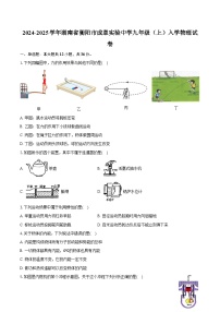 2024-2025学年湖南省衡阳市成章实验中学九年级（上）入学物理试卷（含解析）