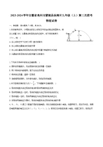 安徽省亳州市蒙城县涡南片2023-2024学年九年级上学期第三次联考物理试卷+