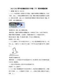 [物理][期末]安徽省安庆市2023-2024学年八年级下学期期末考试试卷