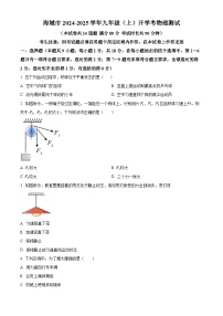 辽宁省鞍山市海城市2024-2025学年九年级上学期开学考试物理试题（原卷版）