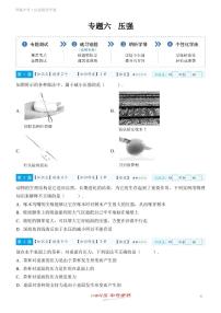 【一轮复习】备战2025年中考物理专题训练-专题六 压强  （教师版+学生版）