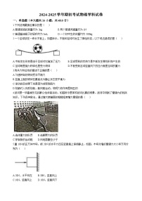 山东省聊城市冠县育才双语学校2024-2025学年九年级上学期开学考试物理试题(无答案)