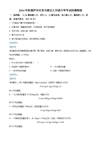 四川省泸州市龙马潭区两校联考2024-2025学年九年级上学期开学考试物理试题（解析版）