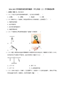 陕西省西安市高新一中2024-2025学年九年级上学期月考物理试卷