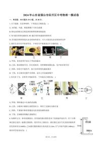 [物理][一模]2024年山东省烟台市经开区中考试卷(有答案)