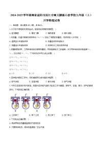 湖南省益阳市沅江市南大膳镇小波学校2024-2025学年九年级（上）开学物理试卷