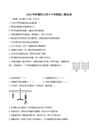 2024年河南师大附中中考物理三模试卷+