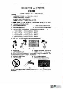 重庆市重庆市九龙坡区四川外国语大学附属外国语学校2024-2025学年九年级上学期开学物理试题