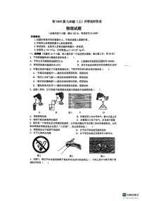 重庆实验外国语学校2024—2025学年九年级上学期入学物理试卷(1)