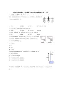 [物理]2024年海南省东方市港务中学中考模拟试卷(十七)(Word)(原题版+解析版)