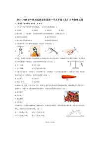 [物理]2024～2025学年陕西省西安市高新一中九年级(上)月考试卷(有答案)