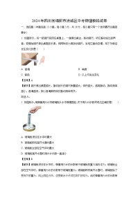 [物理]四川省绵阳市涪城区2024年中考模拟试题(解析版)