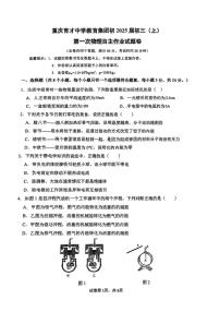 [物理]重庆育才中学教育集团初2024～2025学年上学期九年级第一次月考试卷(无答案)