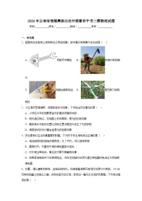 2024年云南省楚雄彝族自治州楚雄市中考三模物理试题