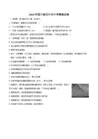 2024年四川省巴中市中考物理试卷（含详细答案解析）