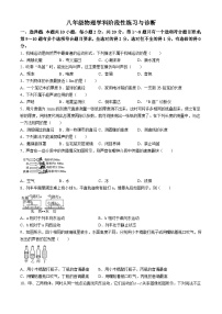 吉林省长春市九台区第三十一中学2024-2025学年八年级上学期第一次月考物理试卷