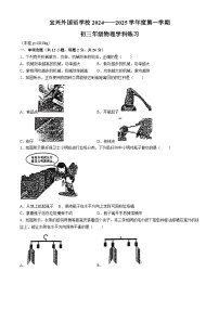 江苏省无锡市宜兴市宜兴外国语学校2024-2025学年九年级上学期9月月考物理试题(无答案)