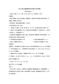 【物理】云南省昭通市巧家县2023-2024学年九年级下学期4月月考试题（解析版）