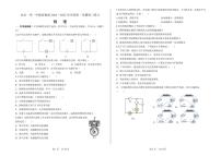 北京一零一中教育集团2024-2025学年九年级上学期月考物理试卷