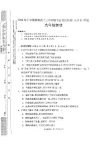 湖南省邵阳市新宁县新宁县城区学校阶段性联考2024-2025学年九年级上学期开学物理试题