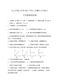 云南省文山壮族苗族自治州文山市第三中学2024-2025学年八年级上学期9月月考物理试题