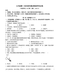 广西南宁西大附中2024-2025学年九年级上学期9月月考物理试卷(无答案)