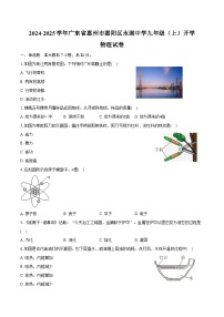 2024-2025学年广东省惠州市惠阳区永湖中学九年级（上）开学物理试卷（含解析）