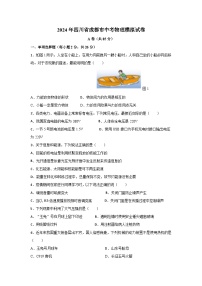 2024年四川省成都中考物理模拟试题+
