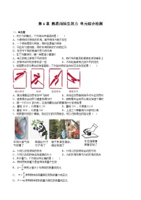 初中物理沪科版（2024）八年级全册第一节 力课时作业