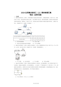 [物理]2024北京重点校初三上学期期末真题分类汇编：电压(北师大版)